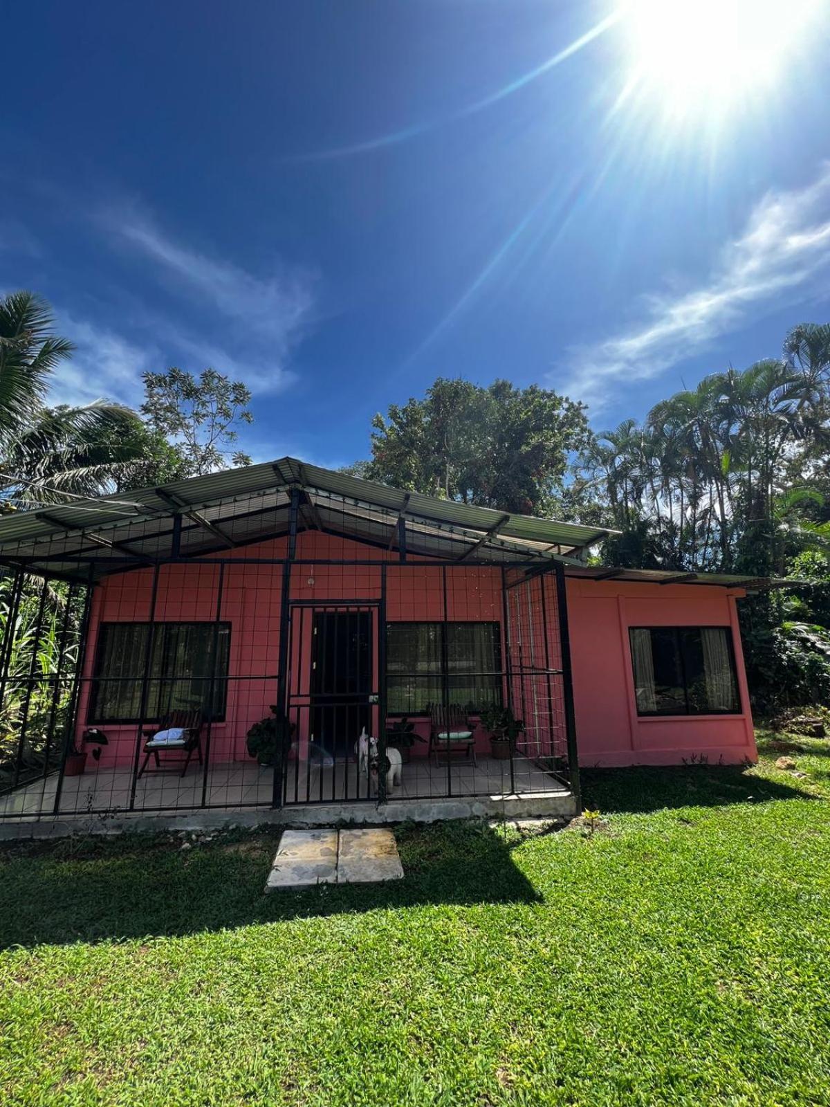 Paraiso Verde Siqurres Da Alegria Exteriér fotografie