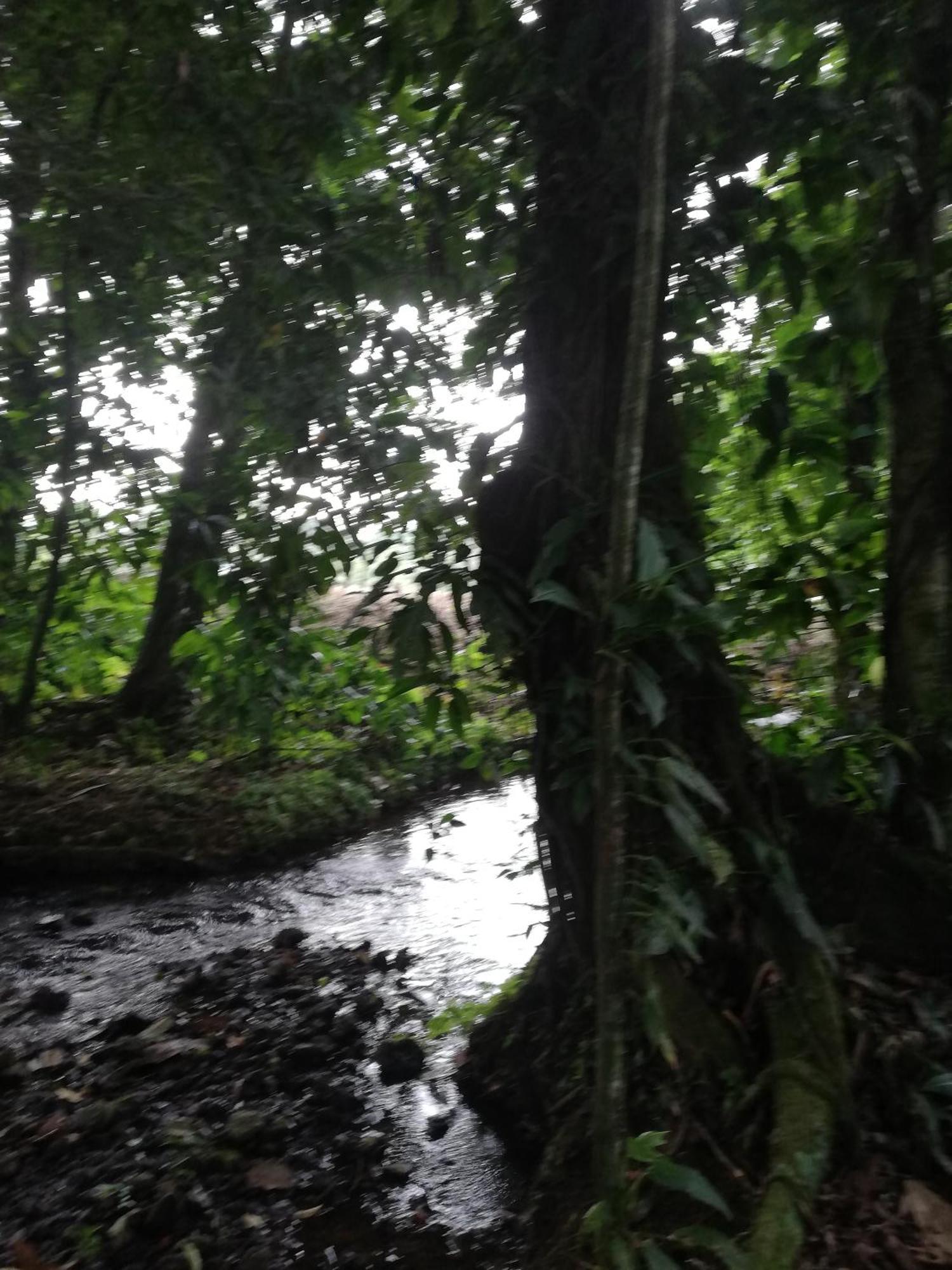 Paraiso Verde Siqurres Da Alegria Exteriér fotografie